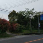 【七井土】広々敷地400坪超‼使い方様々‼ 画像2